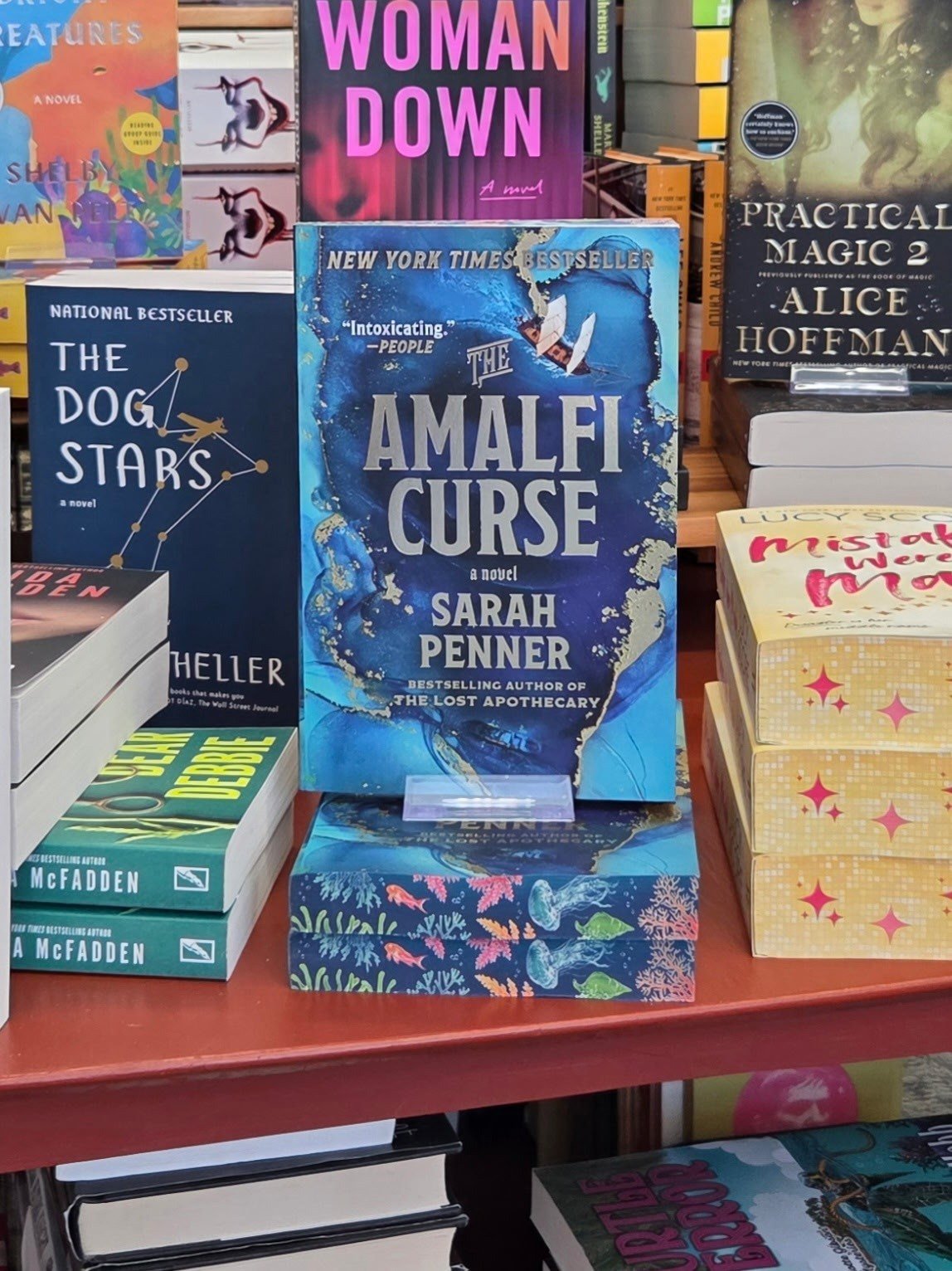 New arrivals: Freida McFadden, Lucy Score, The Amalfi Curse, Dungeon Crawler, The Dog Stars